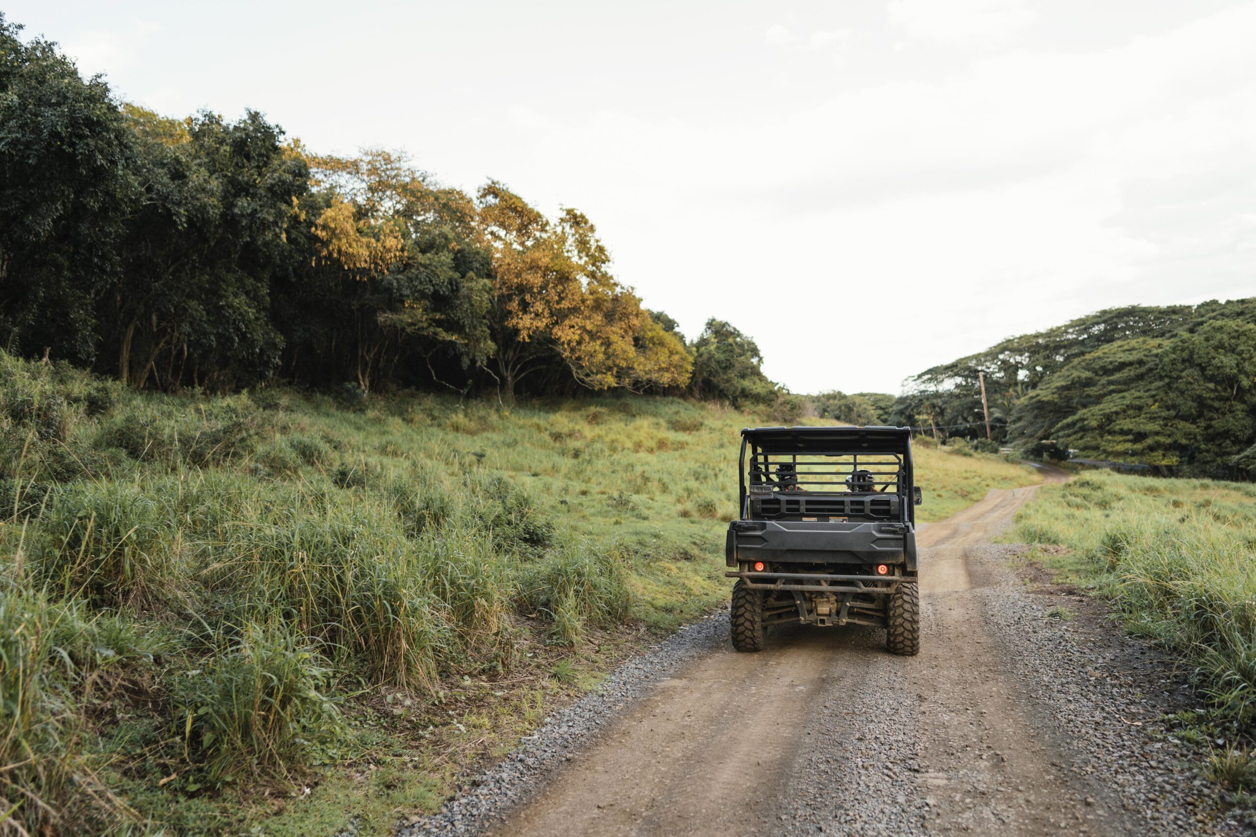 A Jeep Wrangler driving on a backroad path.